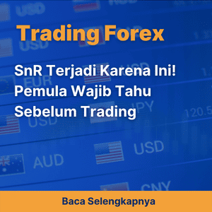 SnR Terjadi Karena Ini! Pemula Wajib Tahu Sebelum Trading