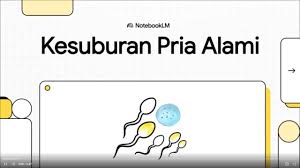 Kesehatan Reproduksi Pria Cara Jaga Vitalitas dan Kesuburan Secara Alami